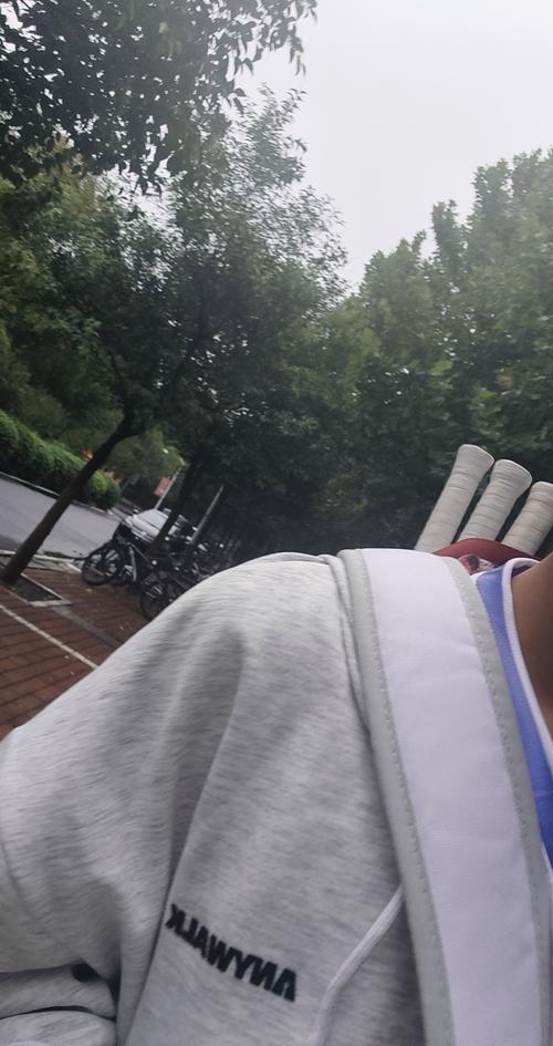 程发力的能